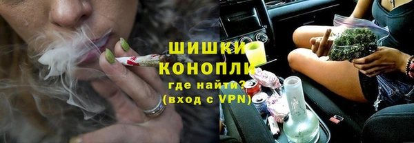 прущие грибы Алзамай