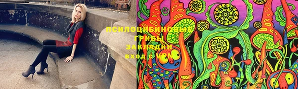 Альфа ПВП Алексеевка