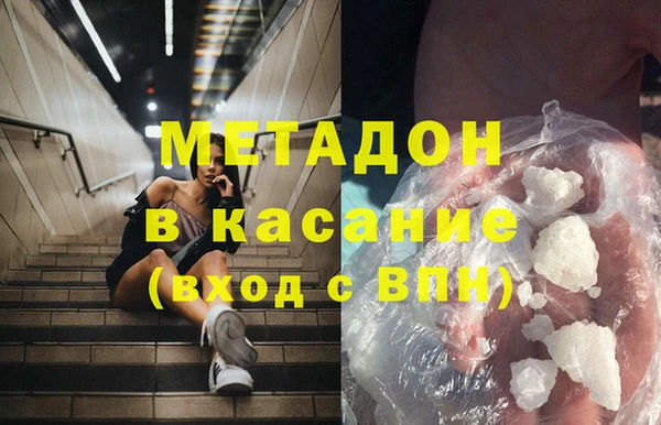 прущие грибы Алзамай