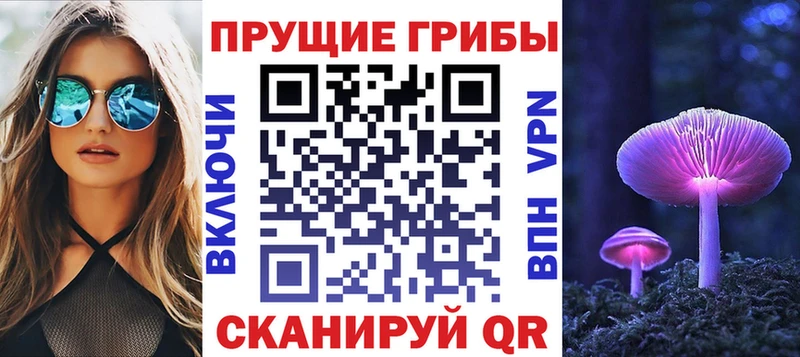 что такое   Ясный  Псилоцибиновые грибы Psilocybine cubensis 